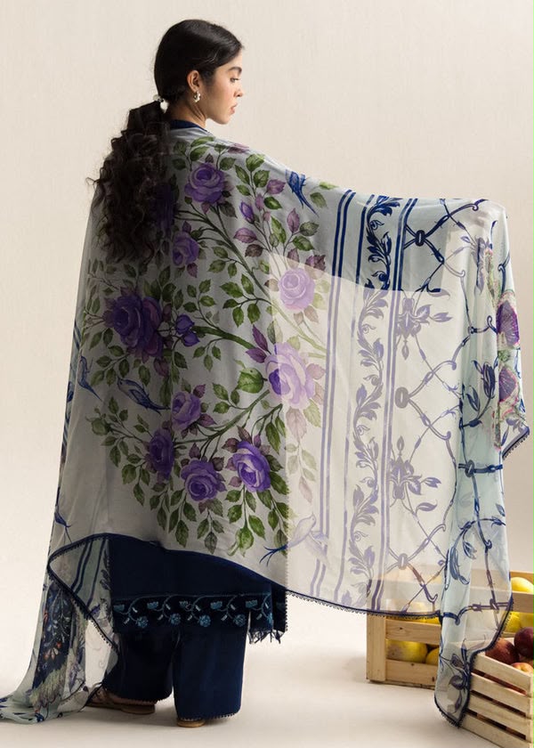 ANEELA’s  PURE SILK WITH 4 side Lace Ready to Wear SILK DUPATTA